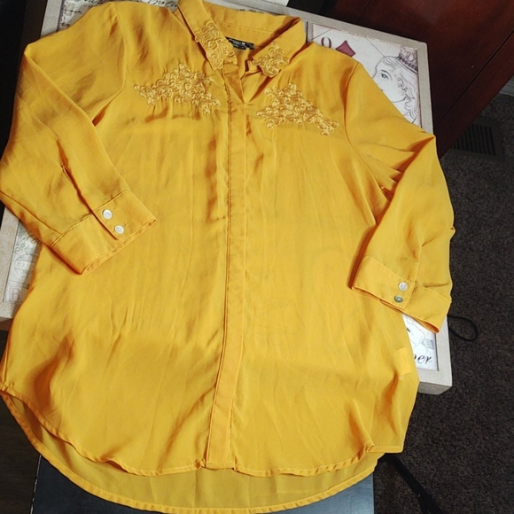 Beautiful Sheer Sequin Hearts Dillard's Blouse - Picture 4 of 6